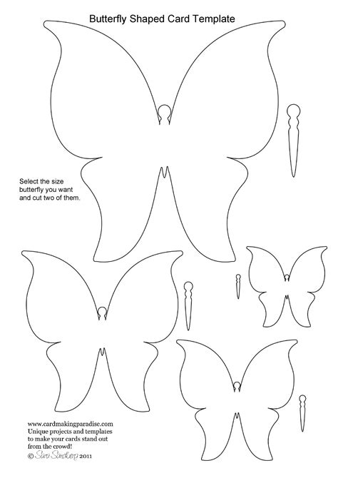 3D butterfly template