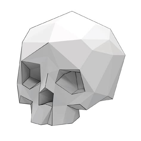 3D Skull Template 3