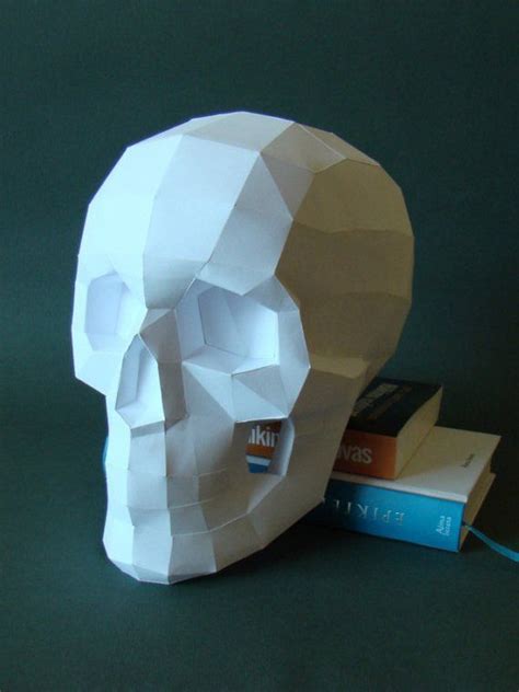 3D Skull Template 5