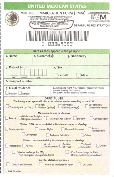 5 FMM Form Image 5