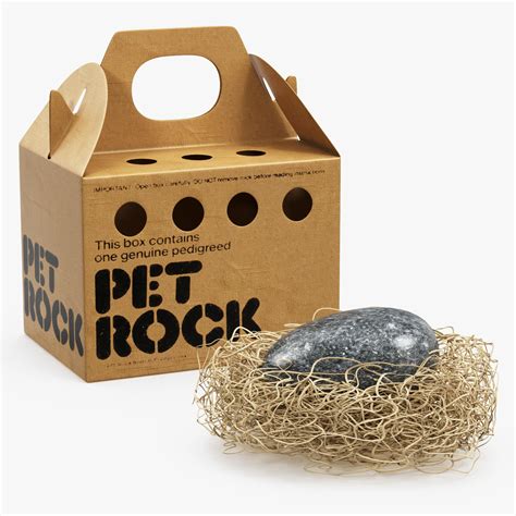 5 pet rock box ideas