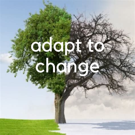 Description of Adapting to Change