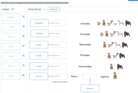 Advantages of Quizlet Printable Flashcards