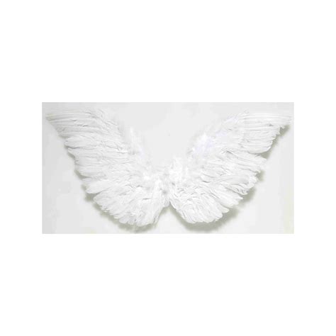 Description of Angel Wing Accessories