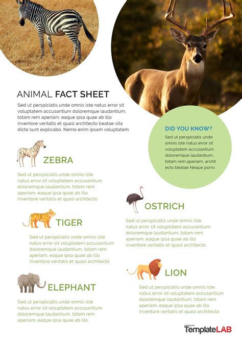 Animal Fact Sheets