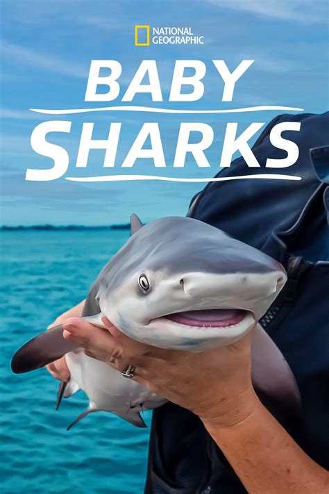 How to Use Baby Shark Printables