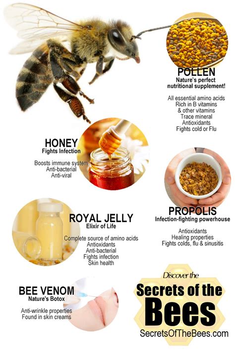 Bee Health Template