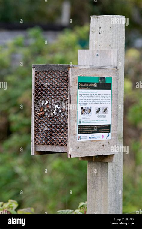 Bee Monitoring Template