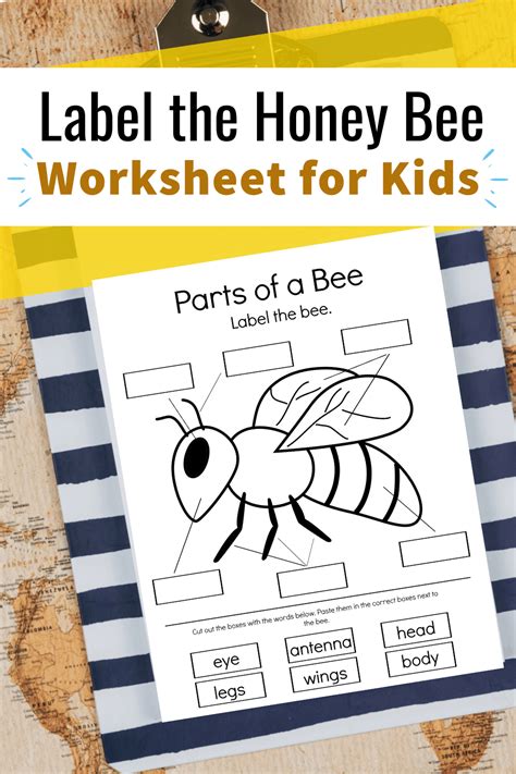 Bee Printable Worksheets