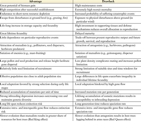 Benefits and Drawbacks of Lien Forms