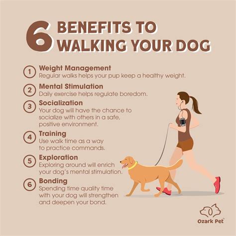 Benefits of Dog Walking