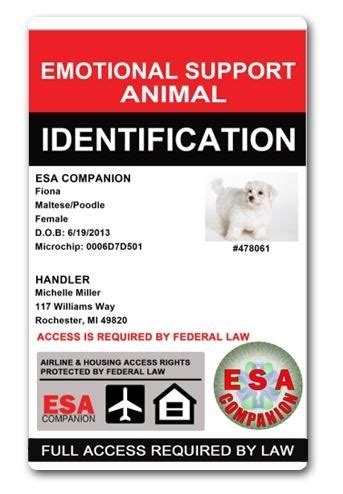 Benefits of Using 5 Esa ID Templates