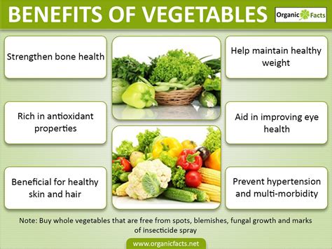 Benefits of Using Free Food Templates