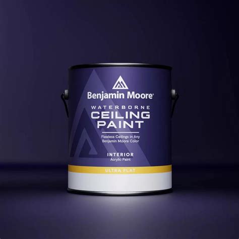 Description of Ceiling Paints