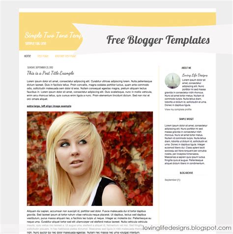 Description of Blog Templates