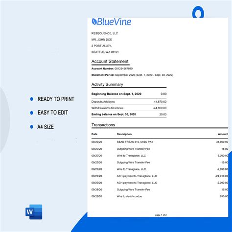 Bluevine Bank Statement Template Example Excel