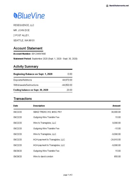 Bluevine Bank Statement Template PDF