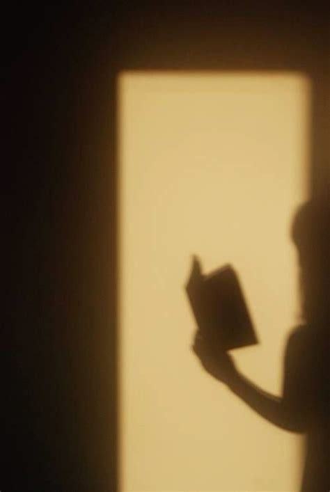 Book Shadow Decor