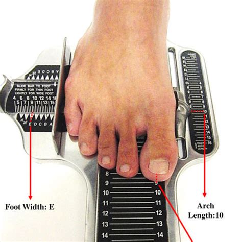 Brannock Device Printable Chart