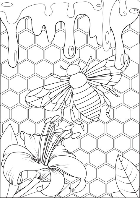 Bumblebee Coloring Pages for Adults