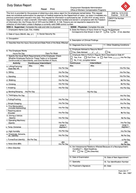 CA 17 Form Example