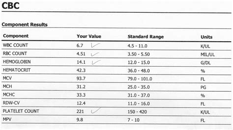 Description of CBC Result Example