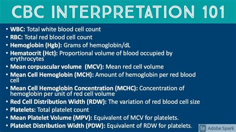 Description of CBC Result Interpretation