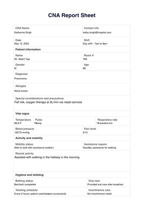 Example of a CNA Report Sheet