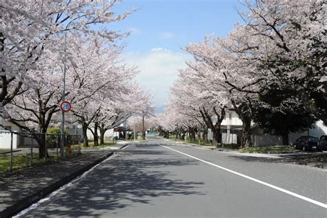 Camp Zama, Japan