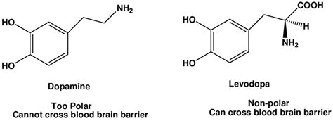 Introduction to Carbidopa Levodopa