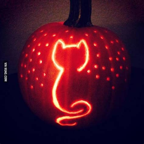 Cat Body Pumpkin