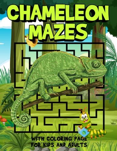 Chameleon Mazes