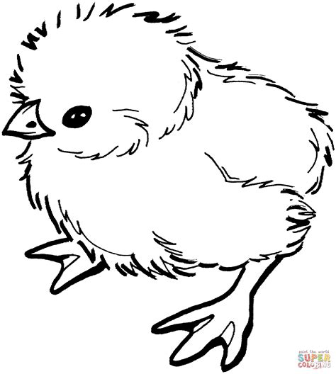 Chica the Chicken Coloring Pages