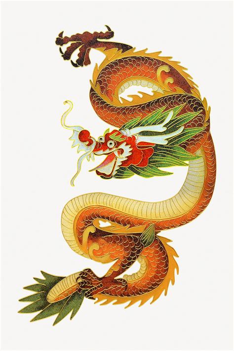 Chinese Dragon Collage