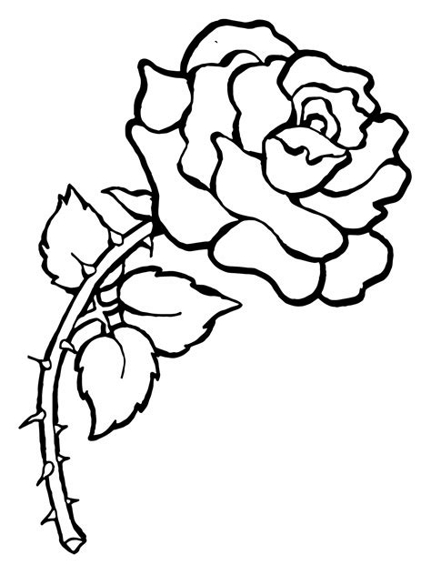 Selecting appropriate rose coloring pages based on age and skill level