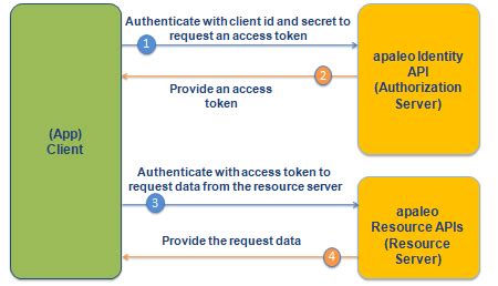 Client Credentials Flow