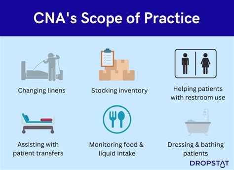 Components of CNA Report Sheet