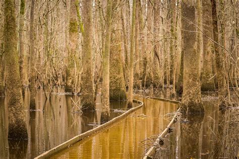 Congaree National Park