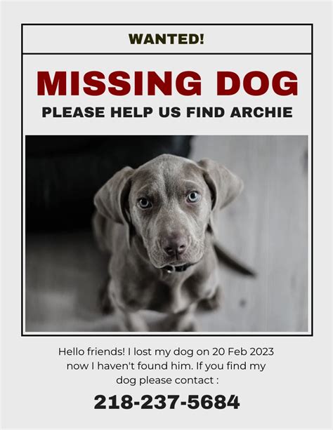 Create Missing Dog Flyers Template