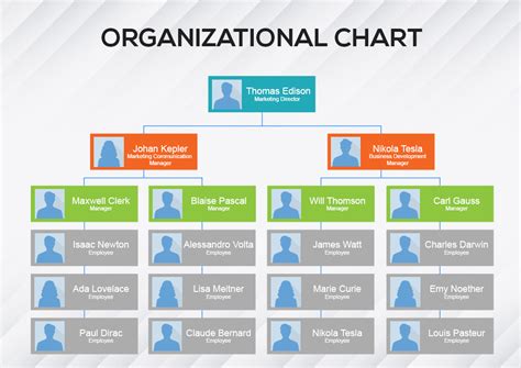 Creating an Organizational Chart