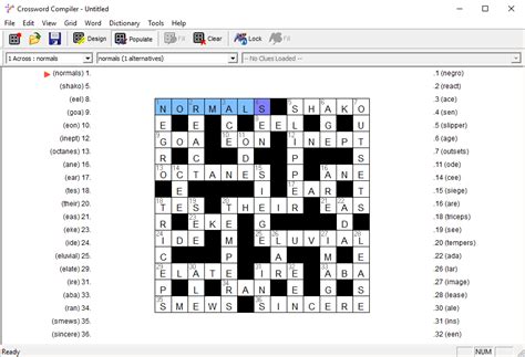 Description of Crossword Solving Software