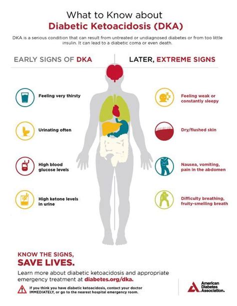 Description of DKA Education