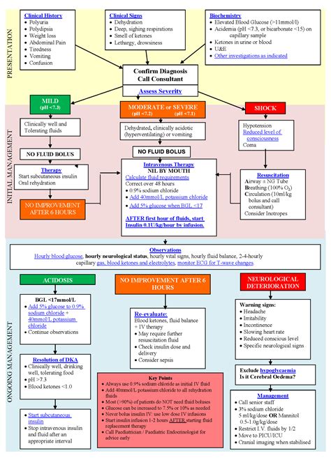 Description of DKA Management