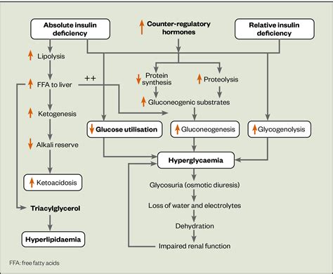 Description of DKA and Mental Health