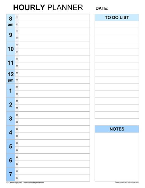 Daily Hourly Planner Template Example