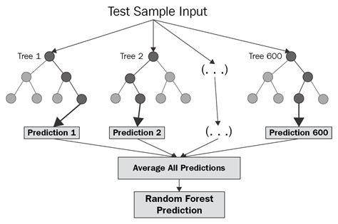 Decision Tree Ensemble Methods