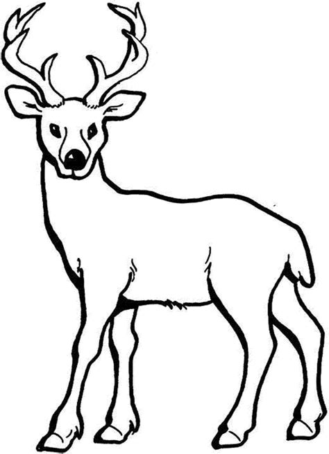 Deer coloring page with autumn background