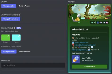 Discord Profile Section Example