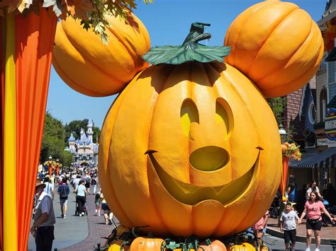 Displaying Your Disney Pumpkin