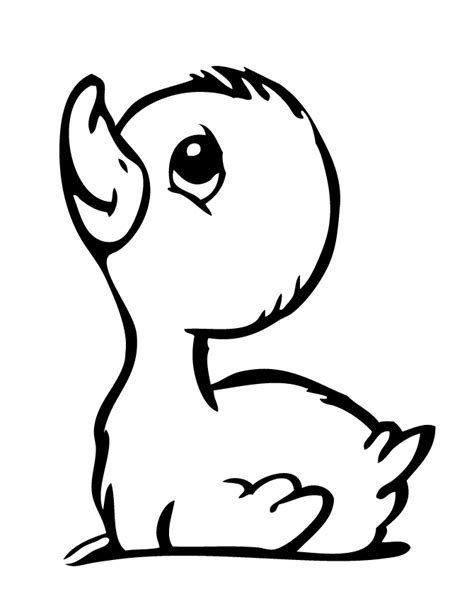 Duck Coloring Pages